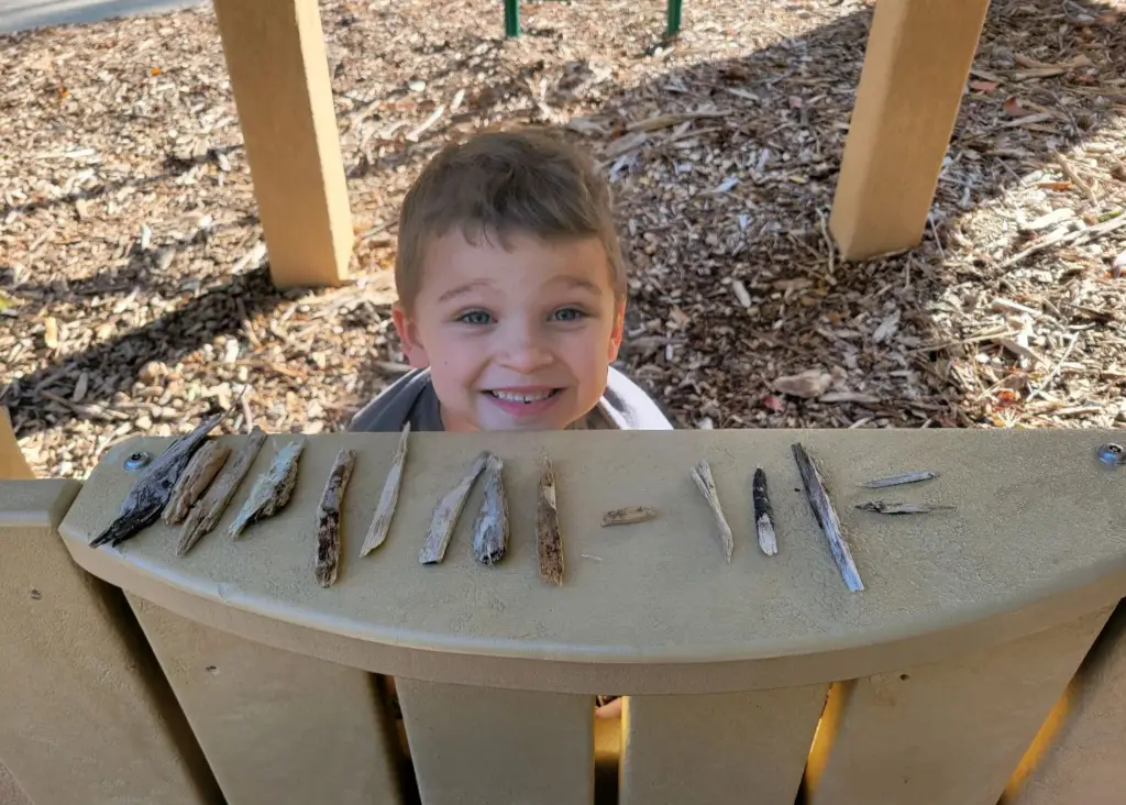 Young Child Smiling During Outdoor Play At Jacob’s Ladder With Sticks Arranged On A Playground Bench